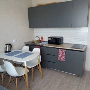 Фотография квартиры Квартира Новая смарт-студия (462)