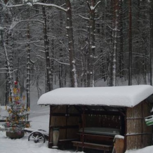 Фотография гостевого дома На Опушке