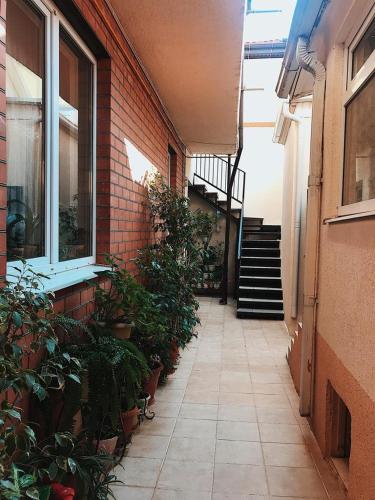 Фотография мини отеля Виктория