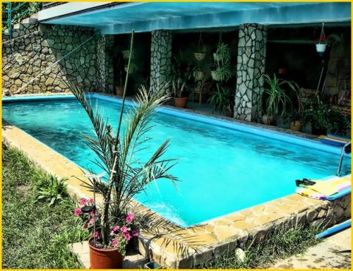 Фотографии гостевого дома
Attila's House