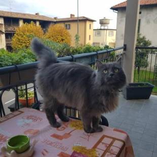 Фотографии мини отеля 
            B&B Erbagatta