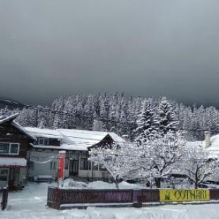 Фотография гостевого дома Casa Maria Busteni - Poiana Tapului