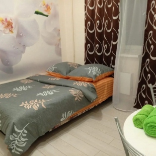 Фотография квартиры Апартаменты Школьная 1