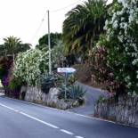 Фотография базы отдыха Agriturismo Un Mare di Fiori