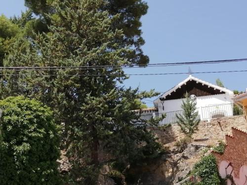 Фотография гостевого дома Casa Rural Casa Forestal