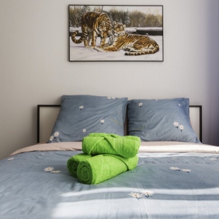 Фотография квартиры Апартаменты на Безымянной 2(3)