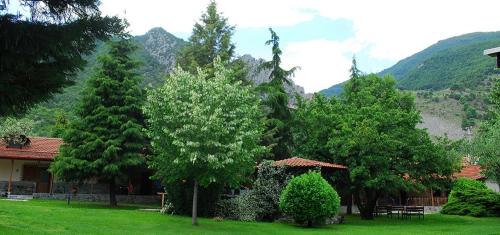 Фотография квартиры GALINI