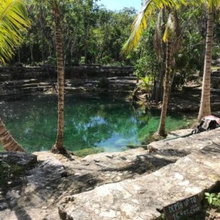 Фотография гостиницы Bayou