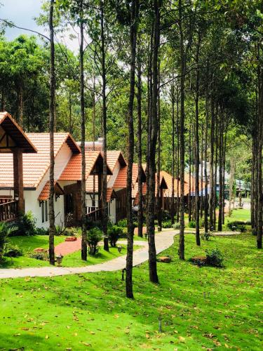 Фотография гостиницы Đồi Sao Phú Quốc