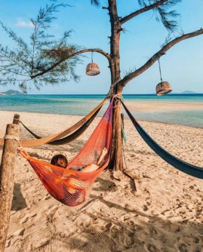 Фотографии гостиницы
SeaEsta Beach