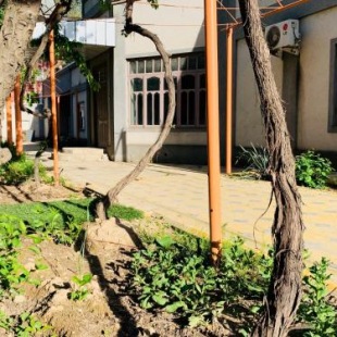 Фотография хостела Топчан Душанбе