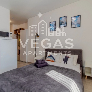 Фотография квартиры Апартаменты Стильная студия в Нижнем Новгороде Vegas