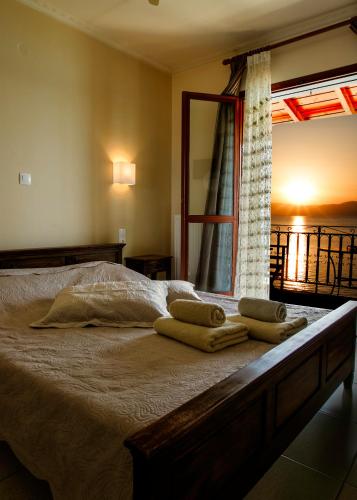 Фотография гостевого дома SAGA Pension