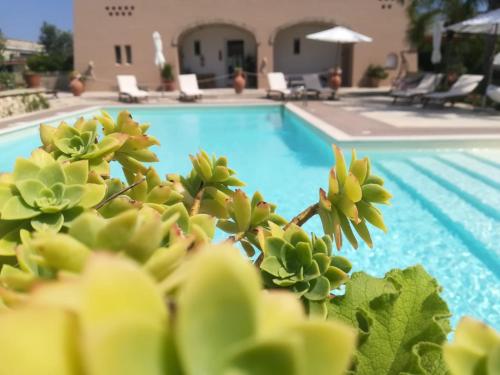 Фотография базы отдыха Relais Tenuta Campì