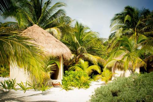 Фотография гостиницы XpuHa Bonanza