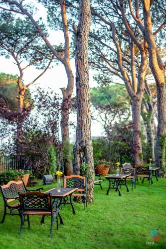 Фотография гостиницы Hotel Al Bustan