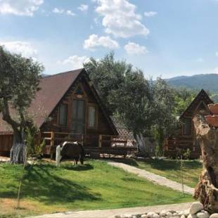 Фотография гостиницы Kazdaglari Ida Natura Bungalov Hotel