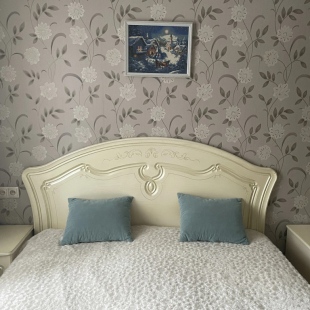 Фотография квартиры Квартира Уютная в самом центре города Рязани