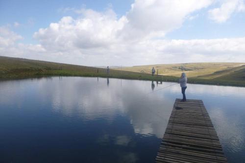 Фотография базы отдыха Moonlight Meadows just outside Dullstoom