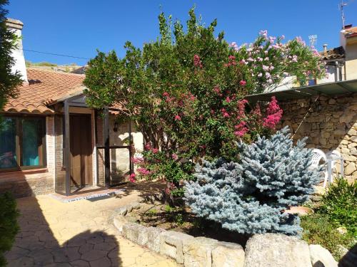 Фотография гостевого дома Casa Almenara