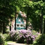 Фотография гостиницы Hotel De Barones