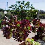 Фотография мини отеля Bed and Breakfast Arcobaleno