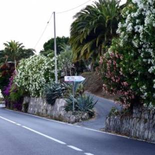 Фотографии базы отдыха 
            Agriturismo Un Mare di Fiori