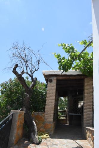 Фотография гостевого дома Casa Rural El Gandulillo