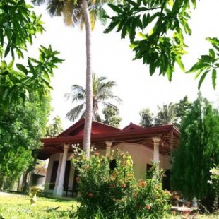 Фотография мини отеля New Vilard