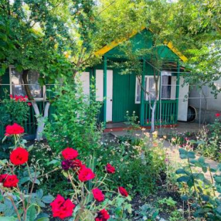 Фотография гостевого дома Новая Дача