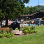 Фотография гостиницы Brookside Lodge