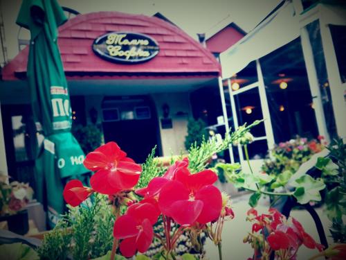 Фотография гостиницы Hotel Tomce Sofka