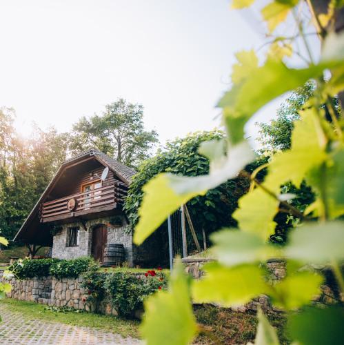 Фотографии гостевого дома
Vineyard Cottage Rataj