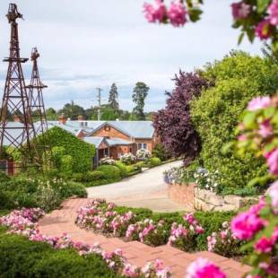 Фотографии гостиницы 
            Twelve on Albert