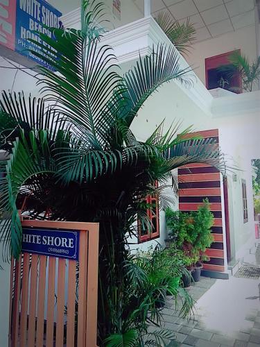 Фотография мини отеля White Shore Beach Homestay