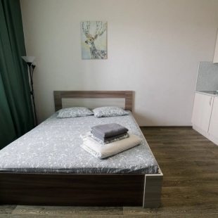 Фотография квартиры Квартира Комфортная Студия Рядом с Онкоцентром