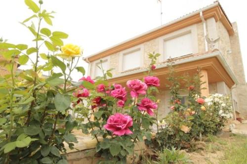 Фотография гостевого дома Casa Rural Ribera del Duero