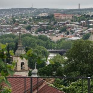 Фотография мини отеля Gomi13