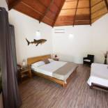 Фотография гостевого дома Blue World Dharavandhoo