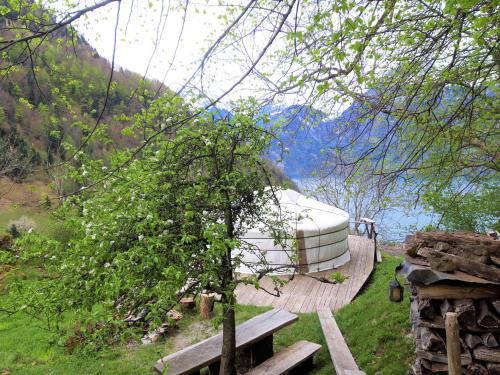 Фотография базы отдыха Panorama Jurte Über Dem Uri-See (Sisikon)