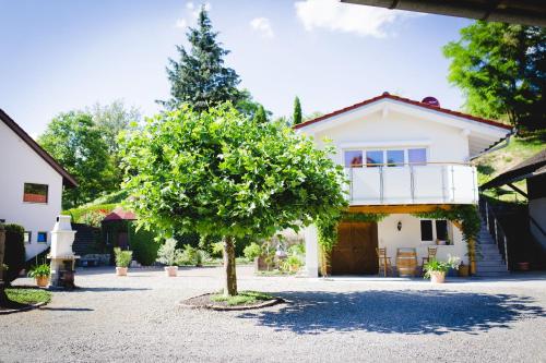 Фотографии базы отдыха 
            Jeglehof