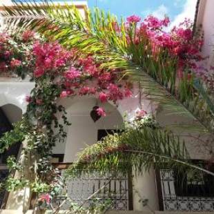 Фотографии мини отеля
Riad Dar Zaman