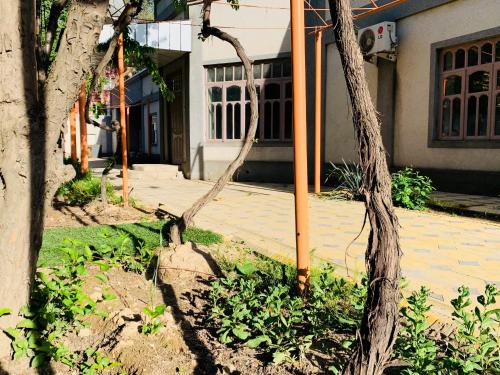 Фотография хостела Топчан Душанбе