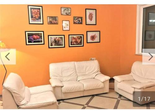 Фотография хостела Paradais georgia