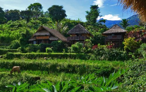 Фотография гостиницы Rinjani Mountain Garden