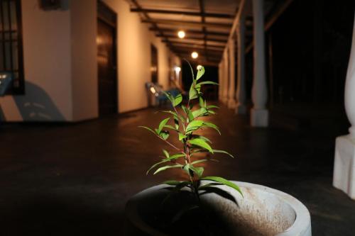 Фотография гостиницы Ceylon Resort