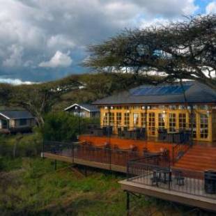 Фотографии гостиницы 
            Lions Paw Ngorongoro