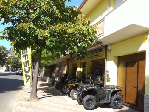 Фотография мини отеля B&B THE BIKERS