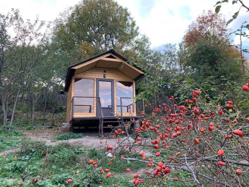 Фотография хостела Անտառամեջ Resort