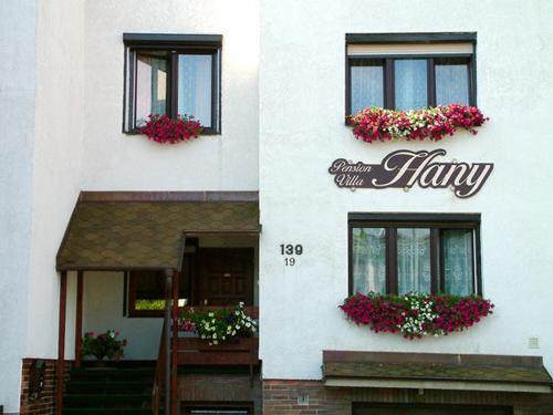 Фотография гостевого дома Pension Villa Hany